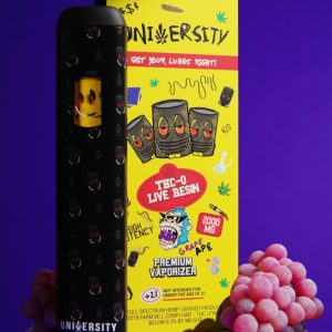 University Disposable Grape Ape